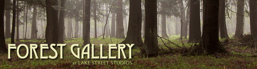 Forest Gallery at Lake Street Studio Forest Gallery at Lake Street Studio